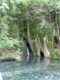 /album/szilvasvarad/szilvasvarad-sziklaforras-jpg/